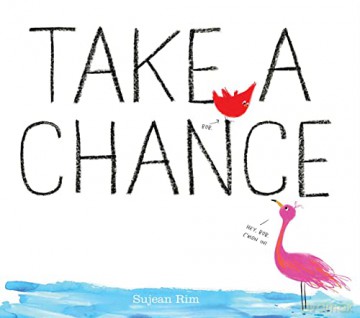 Take A Chance - Sujean Rim [KSIĄŻKA]