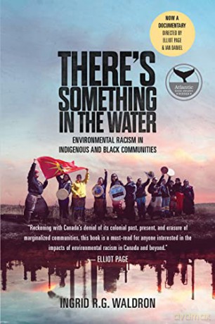 Theres Something In The Water - Ingrid Waldron [KSIĄŻKA]