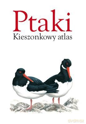 Ptaki Kieszonkowy Atlas Tw [KSIĄŻKA]