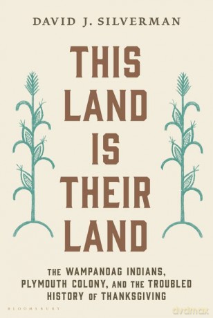 This Land Is Their Land - David J. Silverman [KSIĄŻKA]