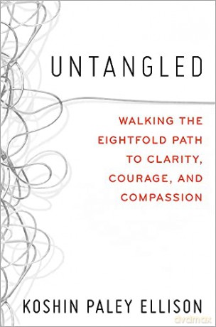 Untangled - Koshin Paley Ellison [KSIĄŻKA]