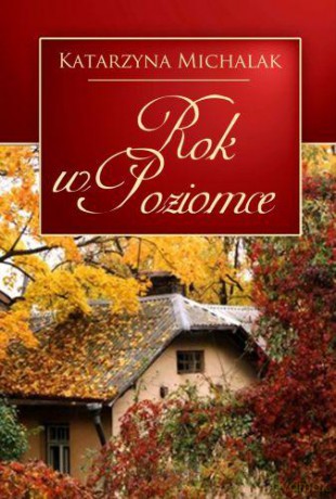 Rok W Poziomce - Katarzyna Michalak [KSIĄŻKA]