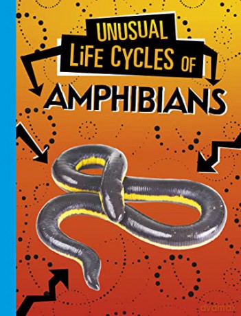 Unusual Life Cycles Of Amphibians - Jaclyn Jaycox [KSIĄŻKA]
