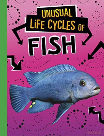 Unusual Life Cycles Of Fish - Jaclyn Jaycox [KSIĄŻKA]