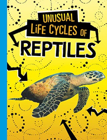Unusual Life Cycles Of Reptiles - Jaclyn Jaycox [KSIĄŻKA]