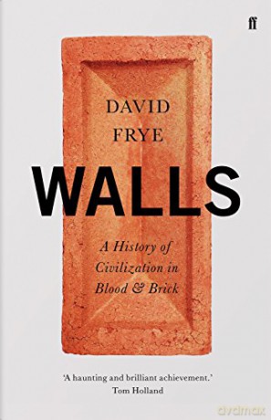 Walls - David Frye [KSIĄŻKA]
