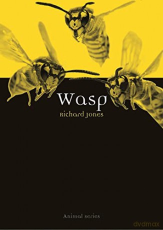 Wasp - Richard Jones [KSIĄŻKA]