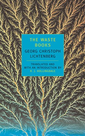 Waste Books - Georg Christoph Lichtenberg [KSIĄŻKA]