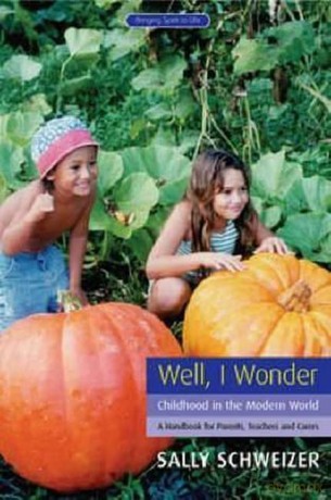 Well I Wonder - Sally Schweizer [KSIĄŻKA]