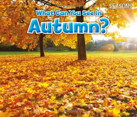 What Can You See In Autumn - Sian Smith [KSIĄŻKA]