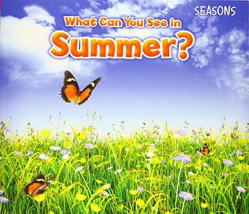 What Can You See In Summer - Sian Smith [KSIĄŻKA]