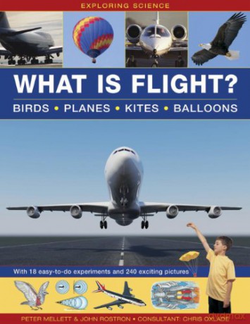 What Is Flight - Peter Mellett [KSIĄŻKA]