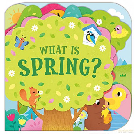 What Is Spring - Sonali Fry [KSIĄŻKA]