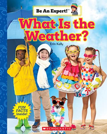 What Is The Weather - Erin Kelly [KSIĄŻKA]