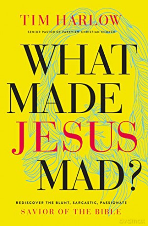 What Made Jesus Mad - Tim Harlow [KSIĄŻKA]