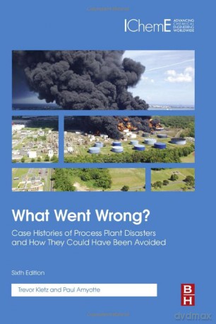 What Went Wrong - Paul Amyotte Dr. [KSIĄŻKA]