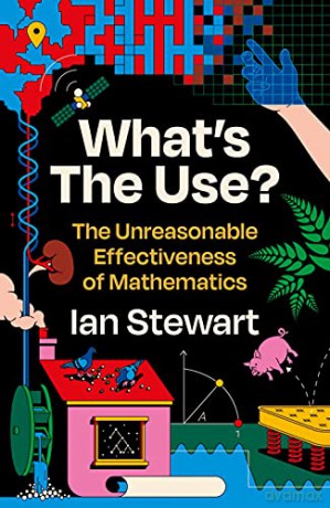 Whats The Use - Professor Ian Stewart [KSIĄŻKA]