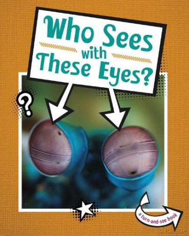 Who Sees With These Eyes - Cari Meister [KSIĄŻKA]