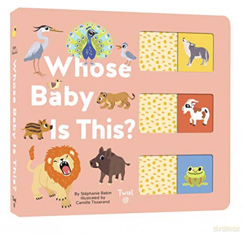 Whose Baby Is This - Stephanie Babin [KSIĄŻKA]