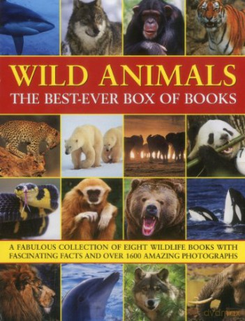 Wild Animals The Best Ever Box Of Books - Tom Jackson [KSIĄŻKA]