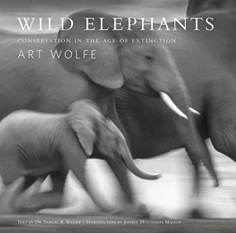 Wild Elephants - Samuel Wasser [KSIĄŻKA]