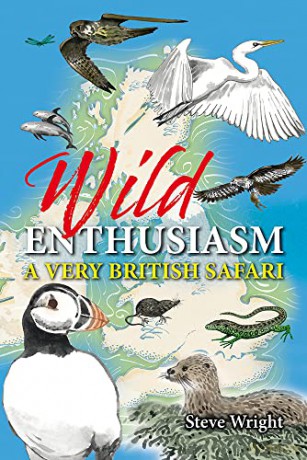 Wild Enthusiasm - Steve Wright [KSIĄŻKA]
