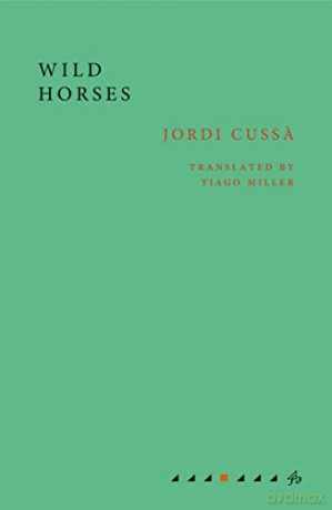 Wild Horses - Jordi Cussa [KSIĄŻKA]
