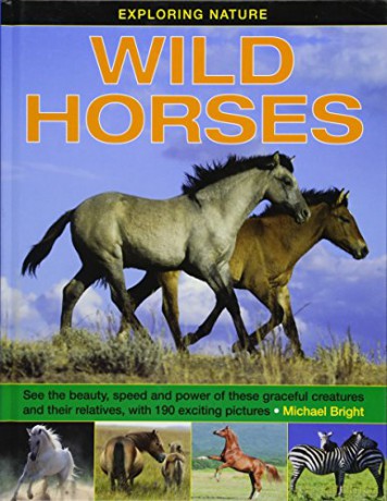 Wild Horses - Michael Bright [KSIĄŻKA]