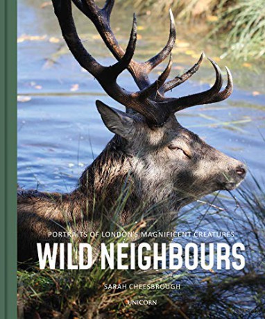 Wild Neighbours - Sarah Cheesbrough [KSIĄŻKA]