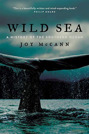 Wild Sea - Joy Mccann [KSIĄŻKA]