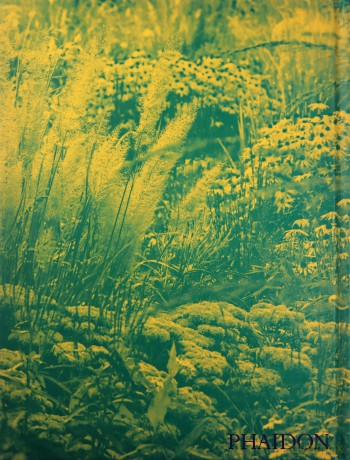 Wild: The Naturalistic Garden - Noel Kingsbury [KSIĄŻKA]