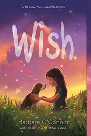 Wish - Barbara O'Connor [KSIĄŻKA]