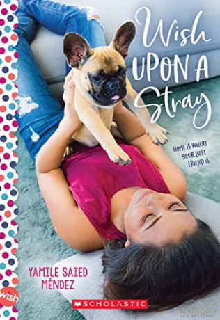 Wish Upon A Stray Wish Novel - Yamile Saied Mendez [KSIĄŻKA]