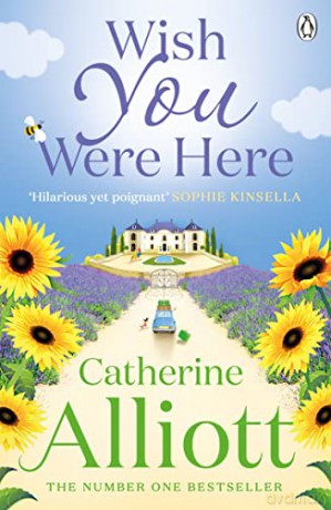 Wish You Were Here - Catherine Alliott [KSIĄŻKA]