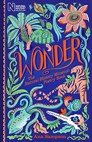 Wonder/Natural History Museum Poetry Bk - Ana Sampson [KSIĄŻKA]