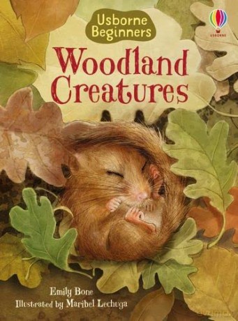 Woodland Creatures - Emily Bone [KSIĄŻKA]
