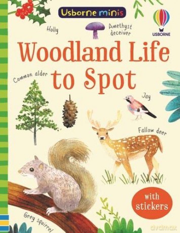 Woodland Life To Spot - Kate Nolan [KSIĄŻKA]