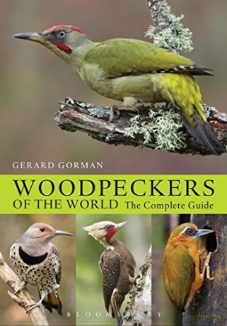 Woodpeckers Of The World - Gerard Gorman [KSIĄŻKA]