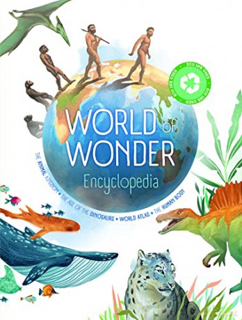 World Of Wonder Encyclopedia - Yoyo Books [KSIĄŻKA]