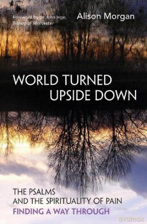 World Turned Upside Down - Alison Morgan [KSIĄŻKA]