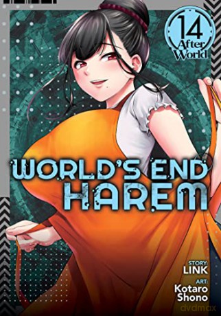Worlds End Harem Vol 14 After World - Link [KSIĄŻKA]