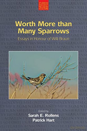 Worth More Than Many Sparrows - Sarah E Rollens [KSIĄŻKA]