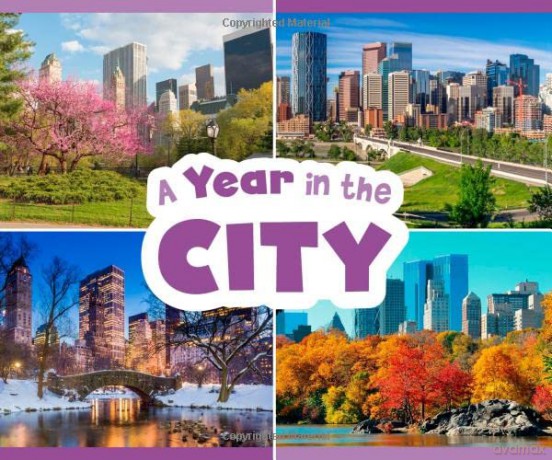 Year In The City - Christina Mia Gardeski [KSIĄŻKA]