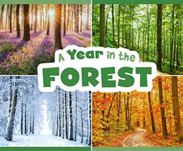 Year In The Forest - Christina Mia Gardeski [KSIĄŻKA]
