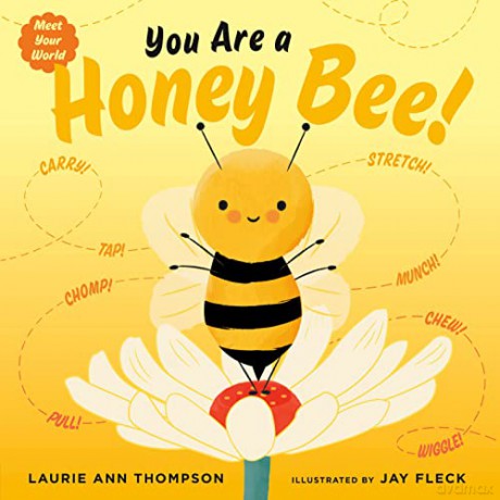 You Are A Honey Bee - Laurie Ann Thompson [KSIĄŻKA]