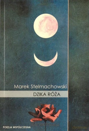 Dzika róża - Marek Stelmachowski [KSIĄŻKA]