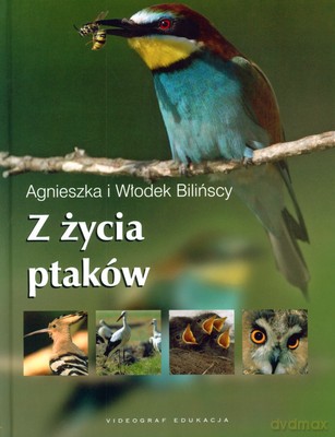 Z Życia Ptaków Tw - Agnieszka I Włodek Bilińscy [KSIĄŻKA]