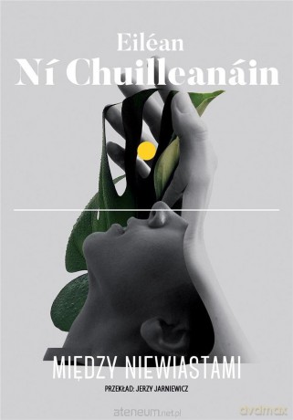 Między niewiastami - Eilean Ni Chuilleanain [KSIĄŻKA]