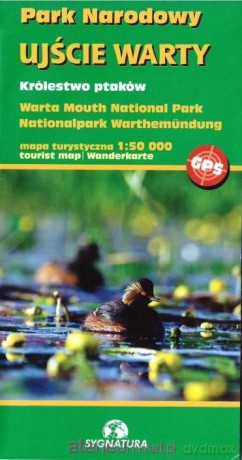 Park Narodowy Ujście Warty - królestwo ptaków