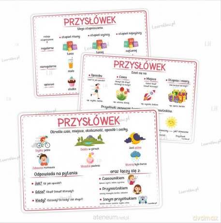 Plansze edukacyjne A4 - Części mowy cz.2 6 kart [KSIĄŻKA]